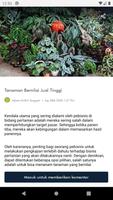 UMKM Tangguh screenshot 3