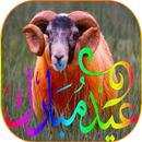 مسجات و صور تهاني عيد الأضحى APK