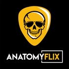 AnatomyFLIX icône