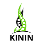 Kinin-icoon