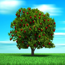 MI ARBOL Y YO APK