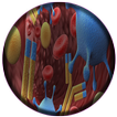 Immunology - Offline icon