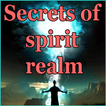 Secrets of spirit realm icon