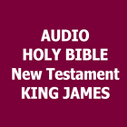 Audio Bible New Testament icône