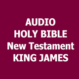Audio Bible New Testament icône