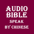 ”Audio BIBLE