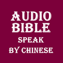 Audio BIBLE APK