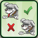 Find ten differences animals APK