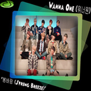 Wanna One 'Spring Breeze’ APK