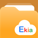 Gestionnaire de fichiers APK