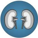 Nephrology Advisor APK