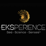 Eksperience Trichology Zeichen