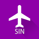 Singapore Flight Info APK