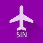 Singapore Flight Info Pro icône