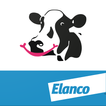 BCS Cowdition by Elanco