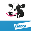 BCS Cowdition par Elanco