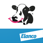 Elanco'nun BCS Cowdition simgesi