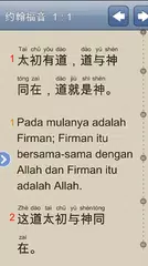 download Dual Bible APK