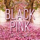 Blackpink- Solo Jennie Offline Mp3 + lyrics APK