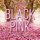 Blackpink- Solo Jennie Offline Mp3 + lyrics icon