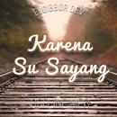 Karna Su Sayang Various Artis Offline MP3+Lyric APK