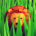 Savanna – Hide and Seek