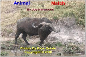 Animal Match poster