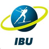 IBU Virtual Gallery icono