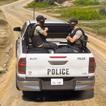 Police Van Conduite: Flic Jeux icône