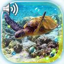 Tortoises Sea APK
