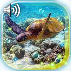 Schildkröten-Meer Lebe Tapete Zeichen