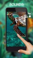 Tortoises Sea Affiche