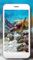 Schildkröten-Meer Lebe Tapete Screenshot 3