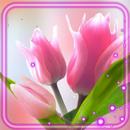 Tulips Delicate APK