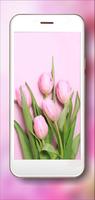 Tulips Delicate ảnh chụp màn hình 1