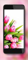 Tulips Delicate ảnh chụp màn hình 2