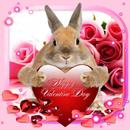Valentine Bunny Live Wallpaper APK
