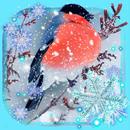 Winter Birds Live Wallpaper APK