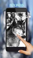 Wolves Voices poster