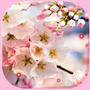 Apple Blossom Nice APK