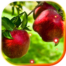 Apples live wallpaper APK