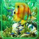 Aquarium Photo APK