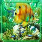 Aquarium Photo 图标