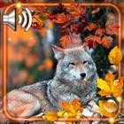 Autumn Forest Life أيقونة