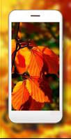 Autumn Leaf HD スクリーンショット 3