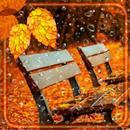 Autumn LWP APK