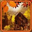 Autumn Nature