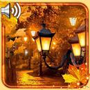 Autumn Park live wallpaper APK
