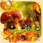 Autumn Rain live wallpaper icône