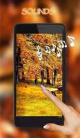 Autumn Rain live wallpaper Affiche